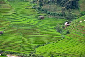 Paysages montagneux entre Sapa et Mu Cang Chai, Nord Vietnam