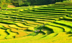 meilleur circuit vietnam