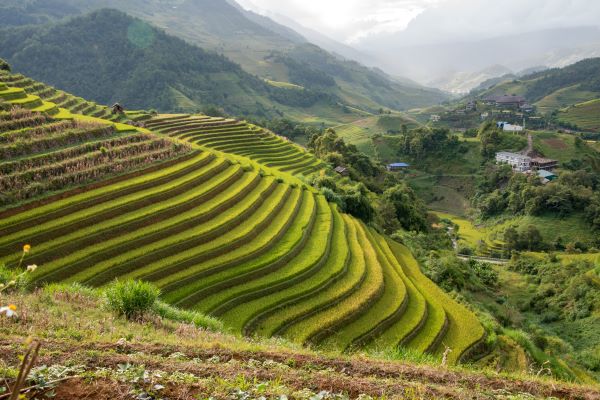 Circuits de visite à Mu Cang Chai