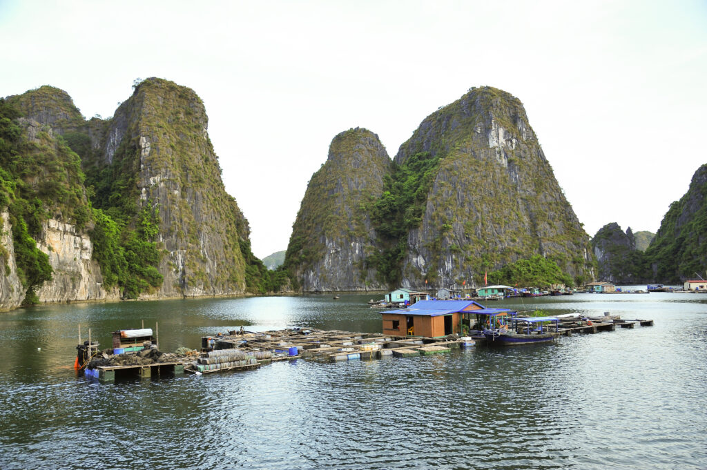 Eaux émeraude et formations karstiques de la baie de Bai Tu Long