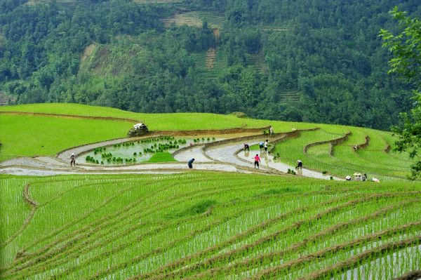 Sapa, Lao Cai