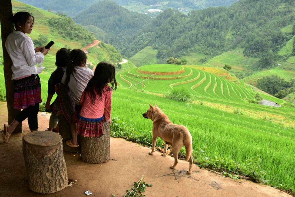 Mu Cang Chai