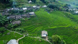 Rizières en terrasses de Sapa au nord du Vietnam, paysages montagneux spectaculaires