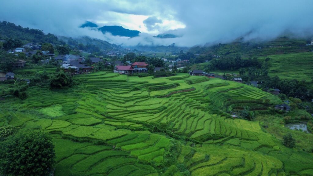 Sapa