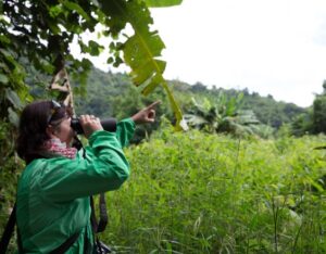 Nam Nern– Phou Louey