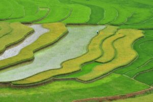 Paysages montagneux entre Sapa et Mu Cang Chai, Nord Vietnam