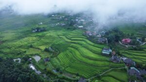 Rizières en terrasses de Sapa, Vietnam