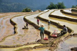 rizières en terrasses Nord Vietnam circuit 15 jours voyage