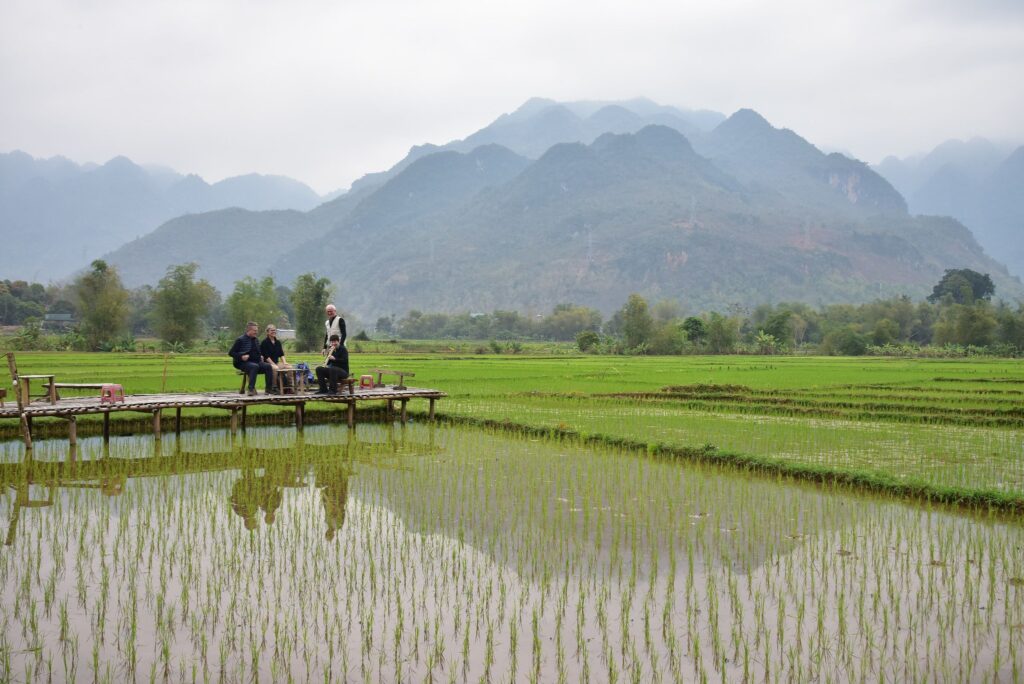 Paysage rural de Mai Châu avec ses rizières vertes et ses maisons traditionnelles thaï
