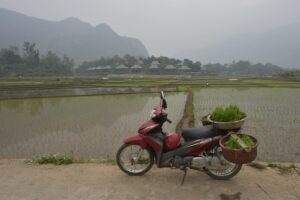 Paysage rural de Mai Châu avec ses rizières vertes et ses maisons traditionnelles thaï.