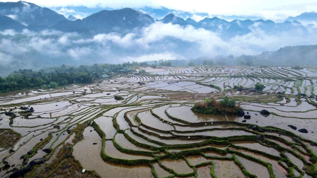 Rizières en terrasses de Pu Luong au Vietnam, destination nature et authenticité