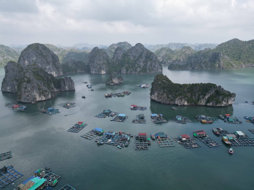 Scène naturelle paisible dans la baie de Lan Ha, Vietnam du Nord