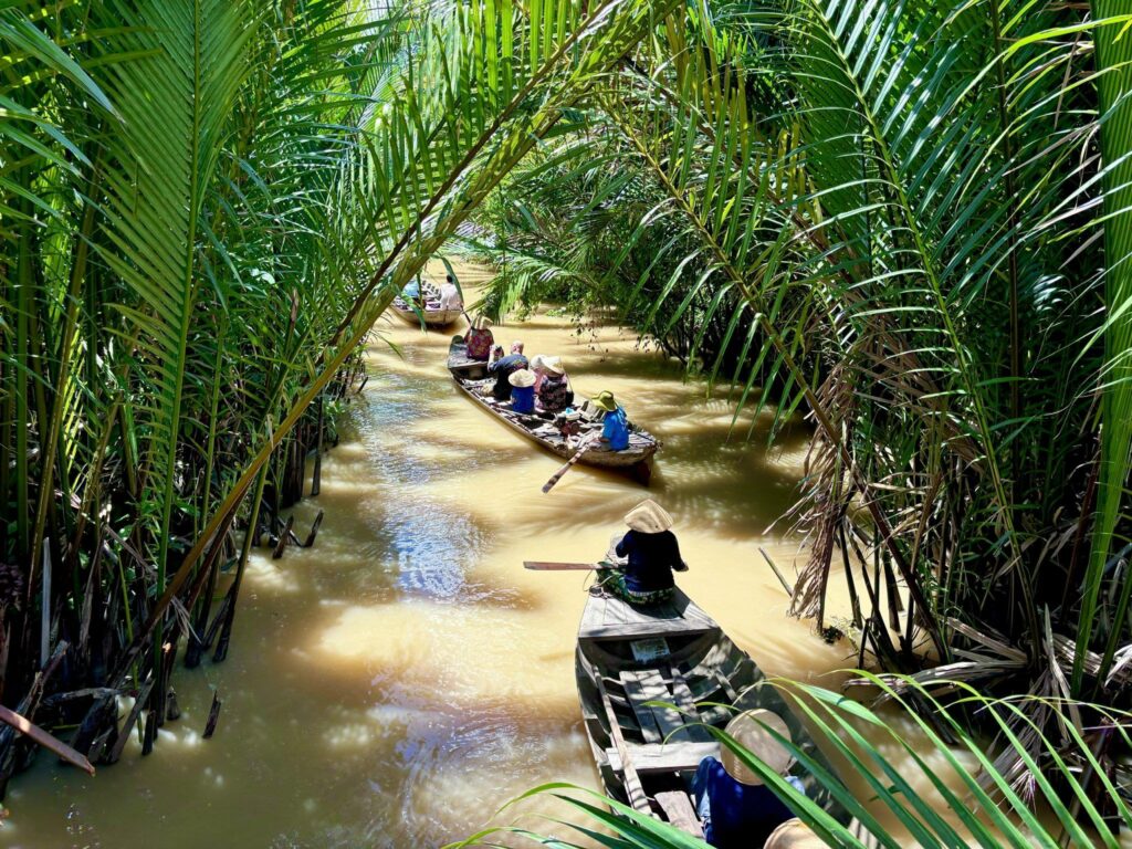 balade en barque à l'ombre des palmiers d'eau