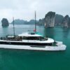 Croisière baie de Lan Ha en catamaran