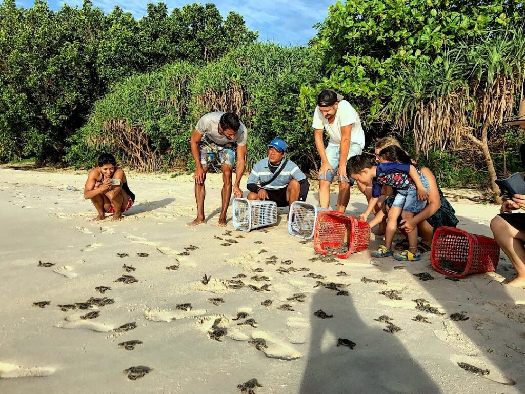 Île de Hon Bay Canh dans le Parc national de Con Dao, célèbre pour ses tortues marines et ses plages sauvages.
