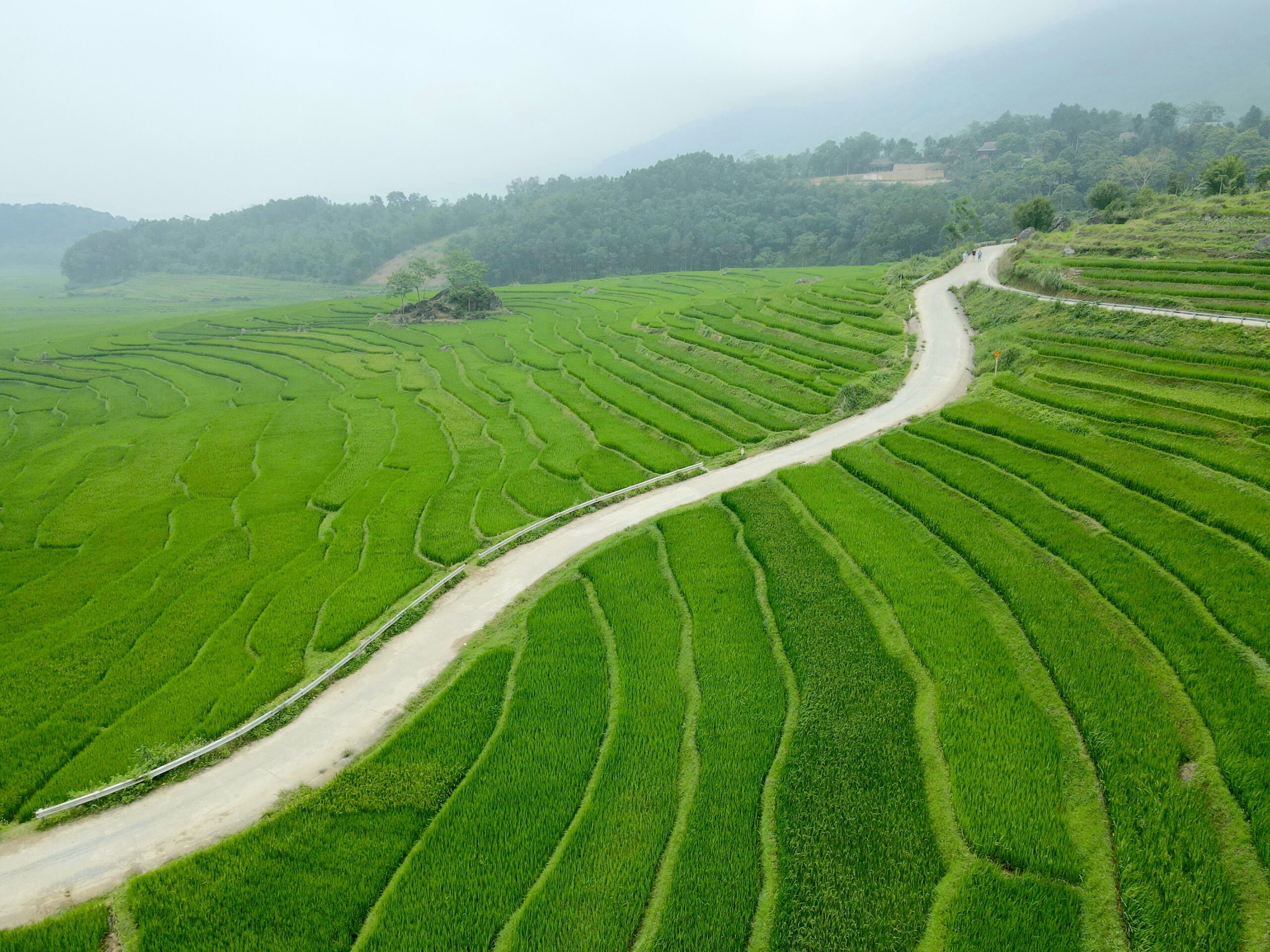 Pu Luong - Rizieres en terrassses, Vietnam Pu Luong - Rizieres en terrassses, Vietnam