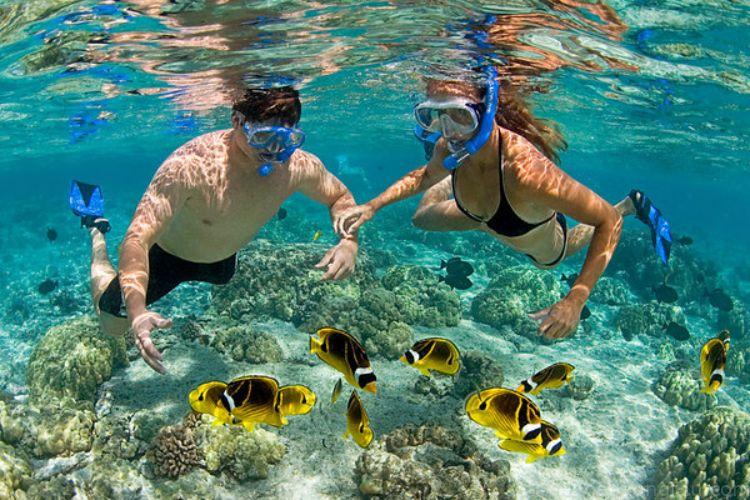 Snorkeling à Con Dao dans des eaux cristallines au-dessus des récifs coralliens