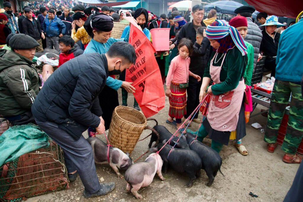 Marché hebdomadaire Dong Van