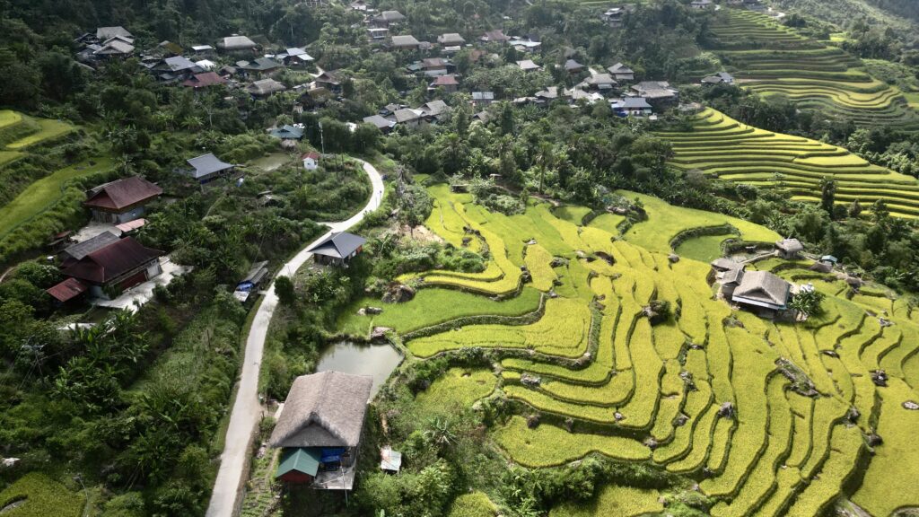 Rizières en terrasses à Ha Giang septembre
