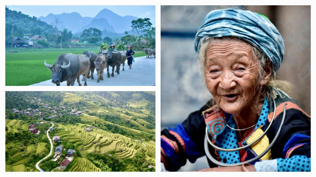Village ethnique entouré de rizières en terrasses dans les montagnes de Ha Giang