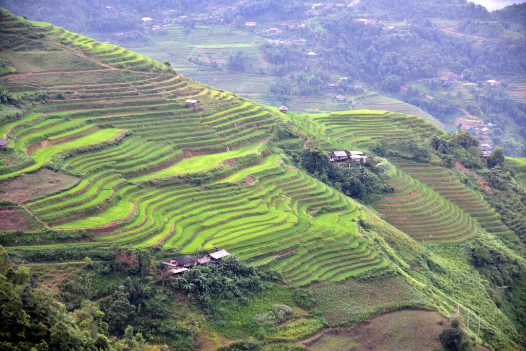Rizières en terrasses de l'ethnie H'mong à Ha Giang